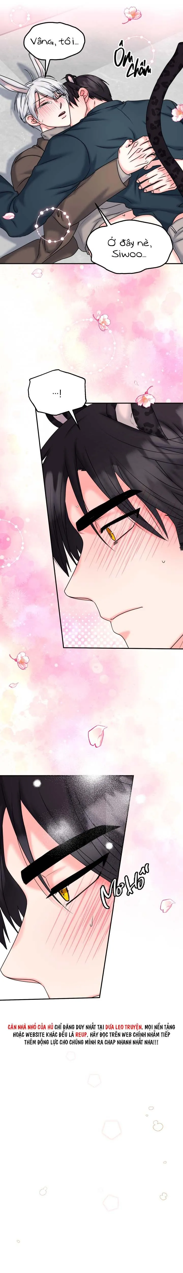 ĐÂY LÀ CHÚ THỎ MÀ BẠN (KHÔNG) ĐÃ ĐẶT HÀNG Chapter 20 Trang 10