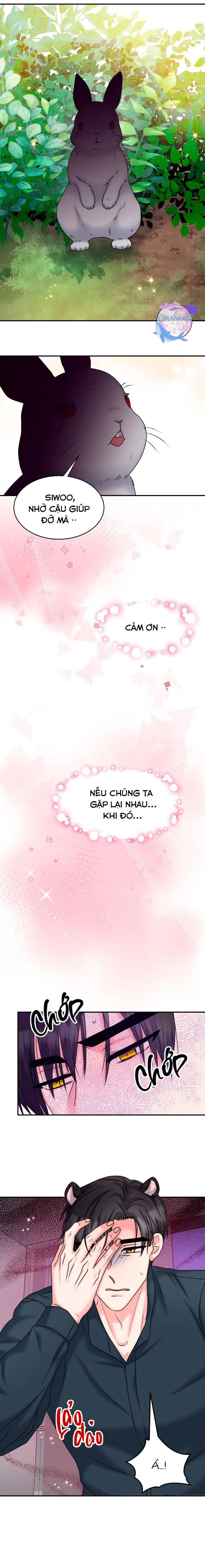 ĐÂY LÀ CHÚ THỎ MÀ BẠN (KHÔNG) ĐÃ ĐẶT HÀNG Chapter 20 Trang 11