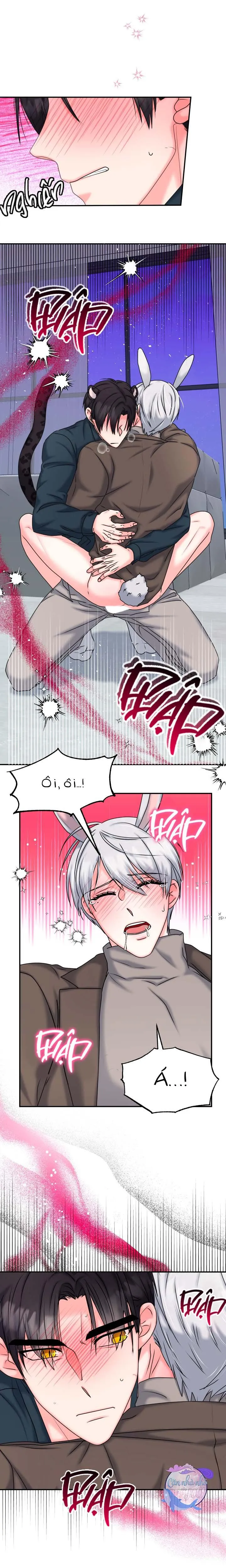 ĐÂY LÀ CHÚ THỎ MÀ BẠN (KHÔNG) ĐÃ ĐẶT HÀNG Chapter 20 Trang 12