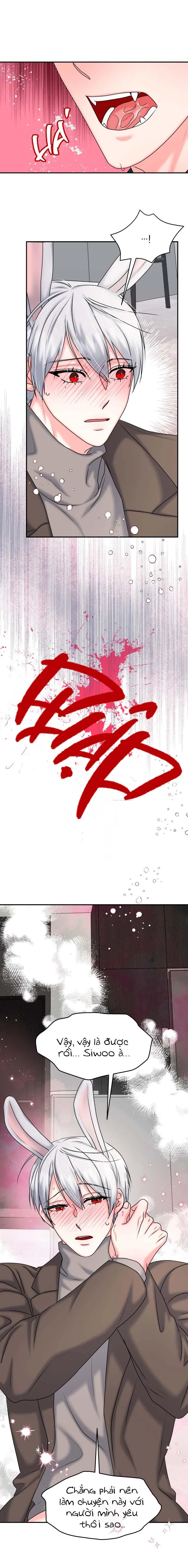 ĐÂY LÀ CHÚ THỎ MÀ BẠN (KHÔNG) ĐÃ ĐẶT HÀNG Chapter 20 Trang 13