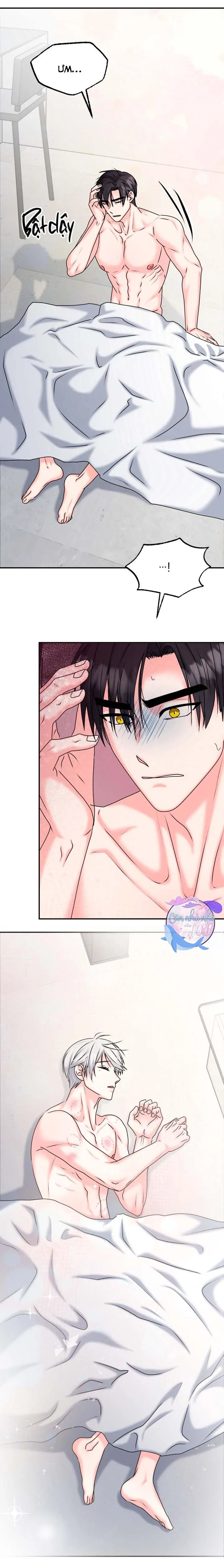 ĐÂY LÀ CHÚ THỎ MÀ BẠN (KHÔNG) ĐÃ ĐẶT HÀNG Chapter 20 Trang 16