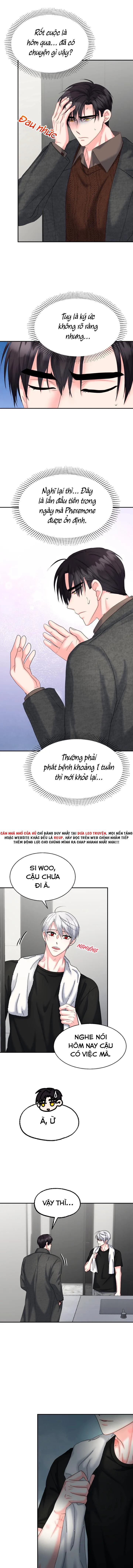 ĐÂY LÀ CHÚ THỎ MÀ BẠN (KHÔNG) ĐÃ ĐẶT HÀNG Chapter 21 Trang 3