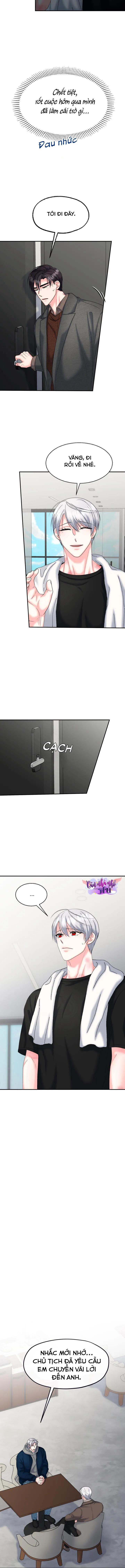 ĐÂY LÀ CHÚ THỎ MÀ BẠN (KHÔNG) ĐÃ ĐẶT HÀNG Chapter 21 Trang 4