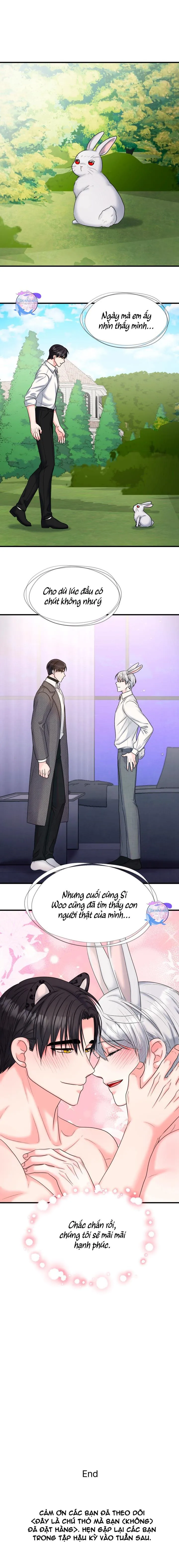 ĐÂY LÀ CHÚ THỎ MÀ BẠN (KHÔNG) ĐÃ ĐẶT HÀNG Chapter 25 Trang 11