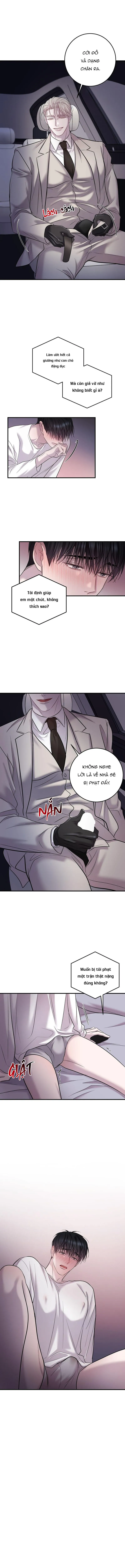 Đáy Sâu Tuyệt Vọng Chapter 86 Trang 11