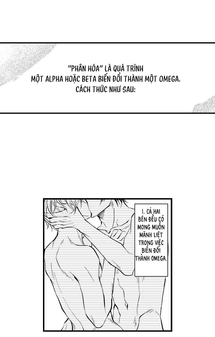 Bí Mật Thầm Kín Của Ngài Quý Tộc α Chapter 2 Trang 12