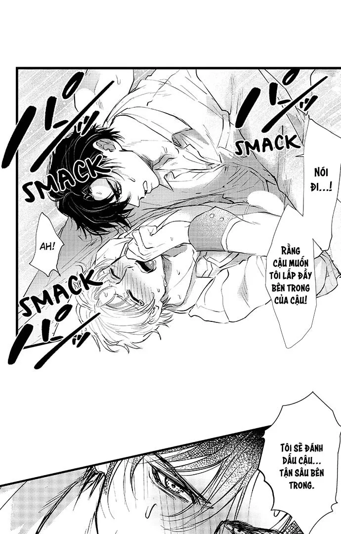 Bí Mật Thầm Kín Của Ngài Quý Tộc α Chapter 3 Trang 3