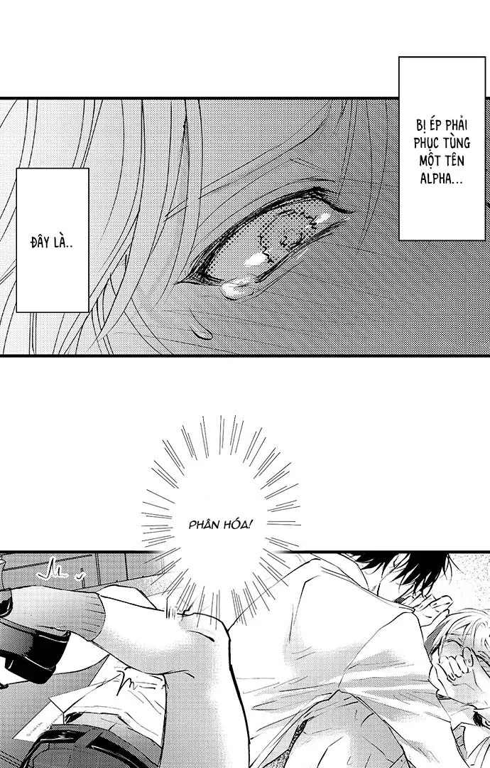 Bí Mật Thầm Kín Của Ngài Quý Tộc α Chapter 3 Trang 7
