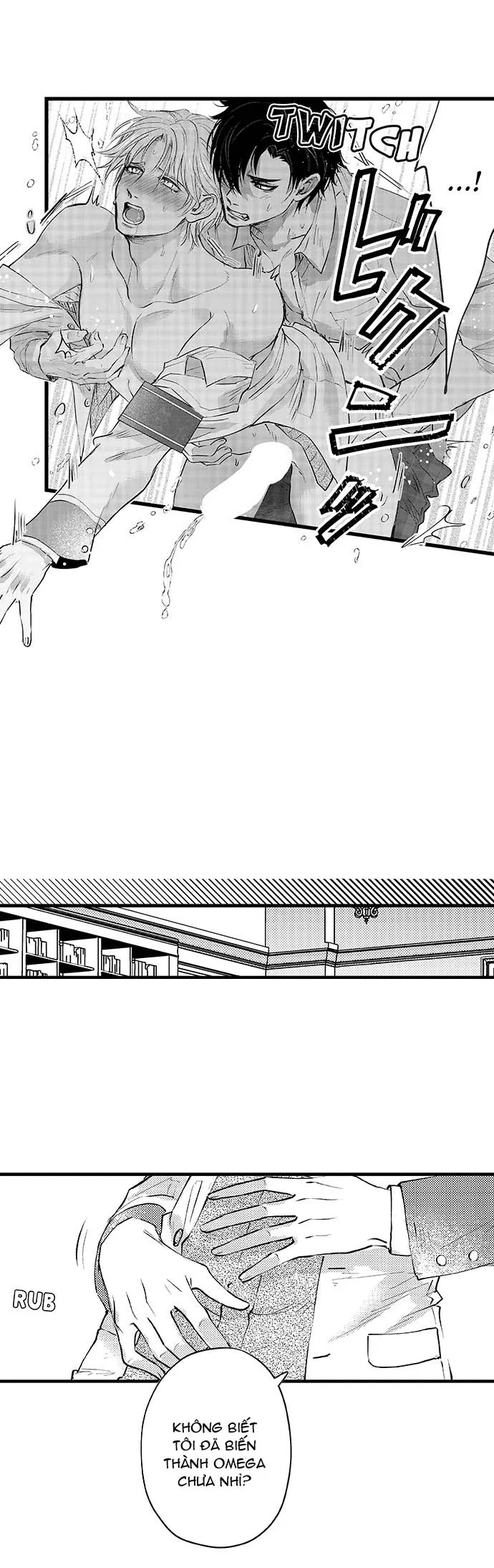 Bí Mật Thầm Kín Của Ngài Quý Tộc α Chapter 3 Trang 11