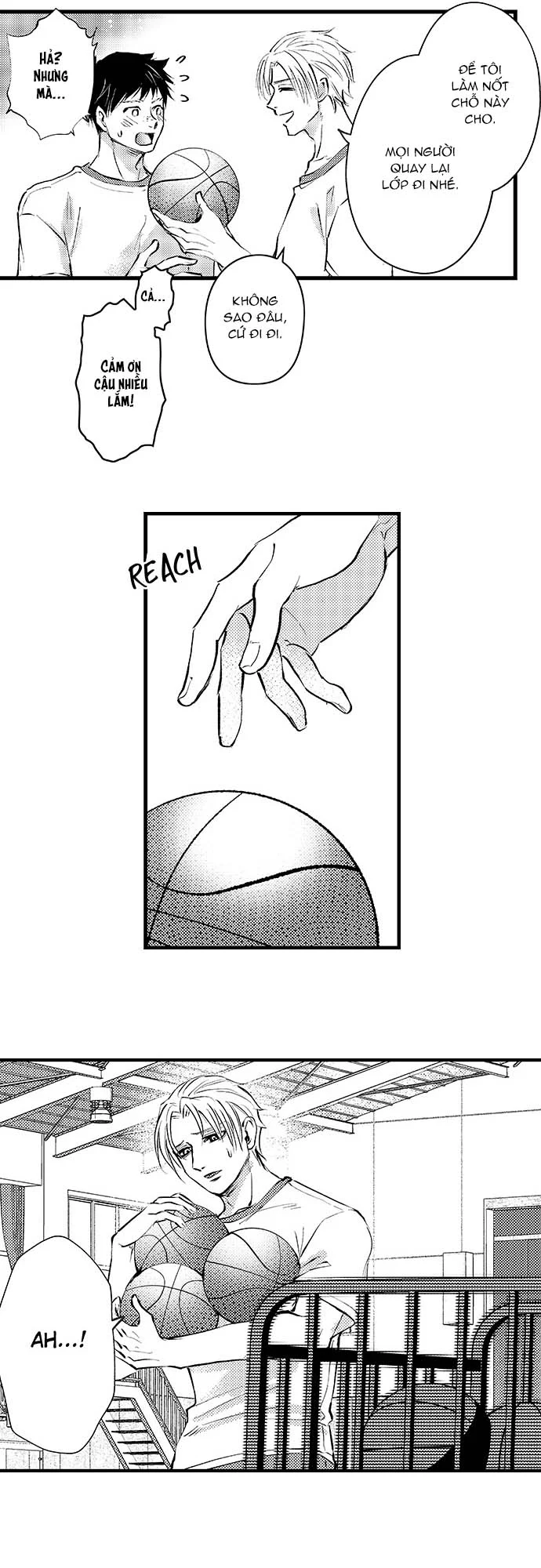 Bí Mật Thầm Kín Của Ngài Quý Tộc α Chapter 5 Trang 11