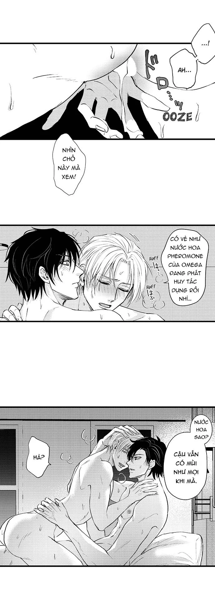 Bí Mật Thầm Kín Của Ngài Quý Tộc α Chapter 9 Trang 5