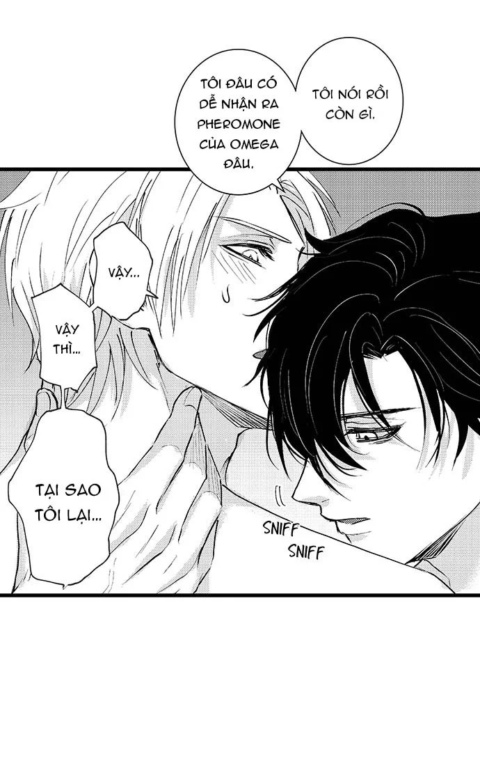 Bí Mật Thầm Kín Của Ngài Quý Tộc α Chapter 9 Trang 6