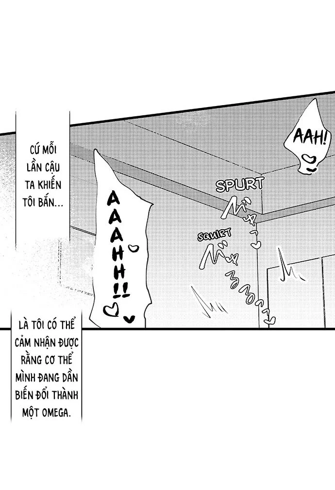 Bí Mật Thầm Kín Của Ngài Quý Tộc α Chapter 9 Trang 12