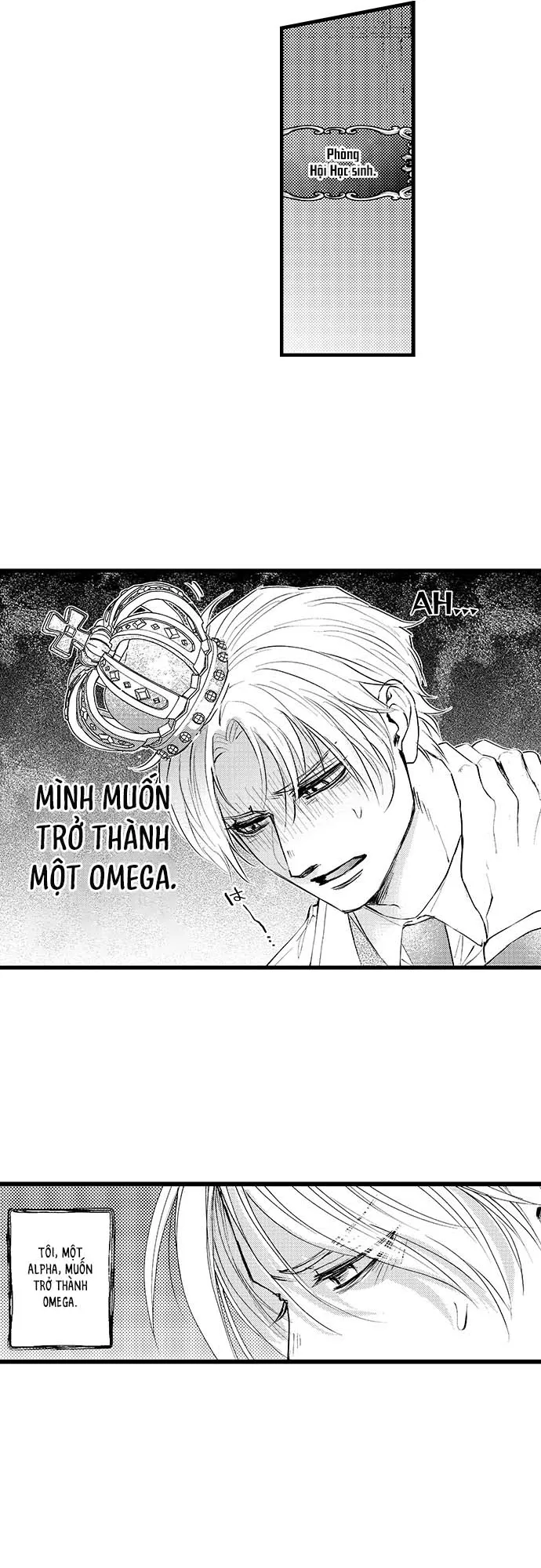 Bí Mật Thầm Kín Của Ngài Quý Tộc α Chapter 1 Trang 5