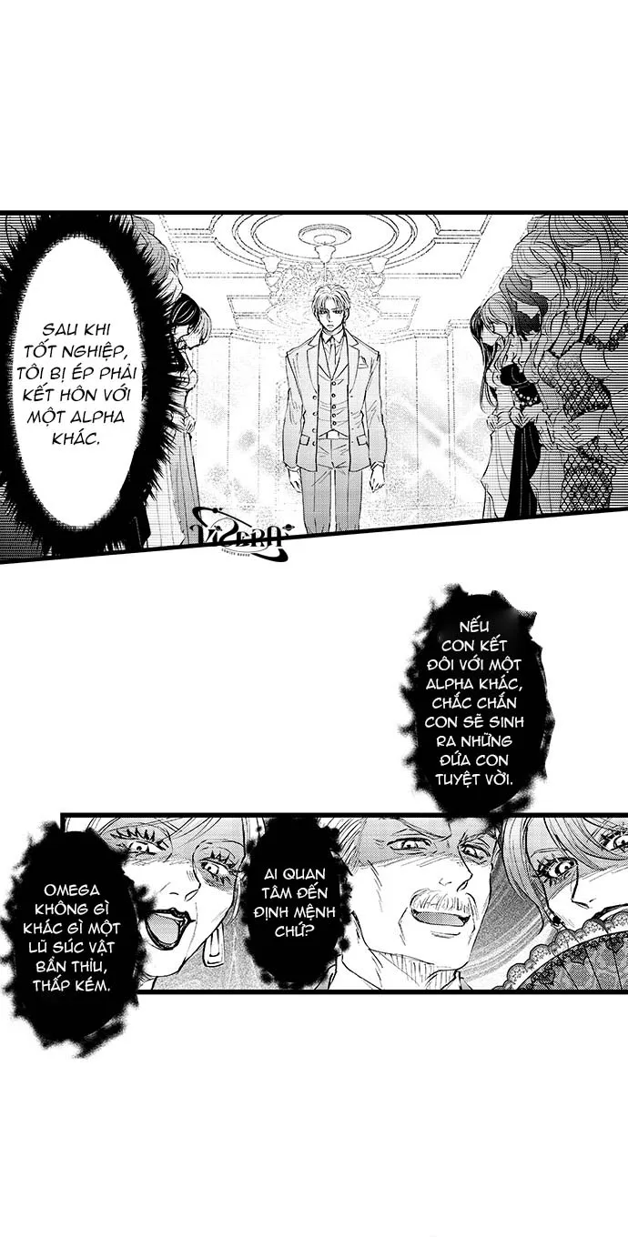 Bí Mật Thầm Kín Của Ngài Quý Tộc α Chapter 1 Trang 12