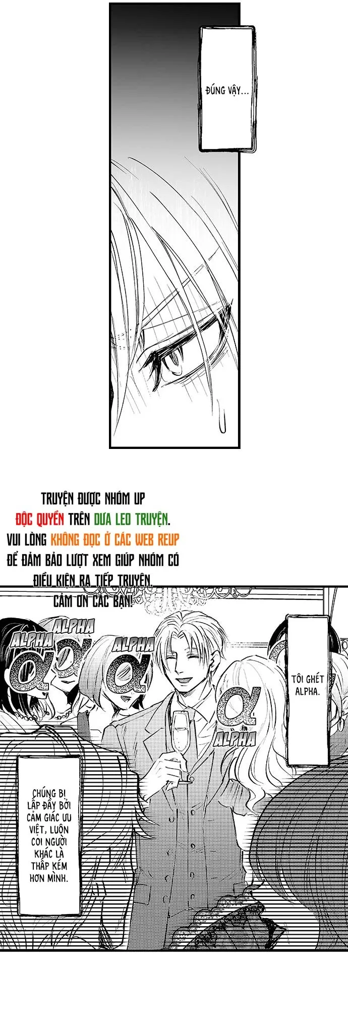 Bí Mật Thầm Kín Của Ngài Quý Tộc α Chapter 1 Trang 13