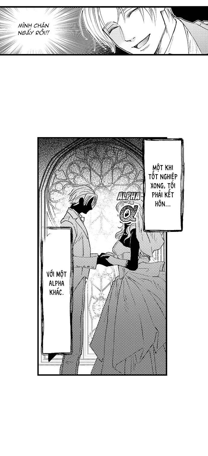 Bí Mật Thầm Kín Của Ngài Quý Tộc α Chapter 1 Trang 14