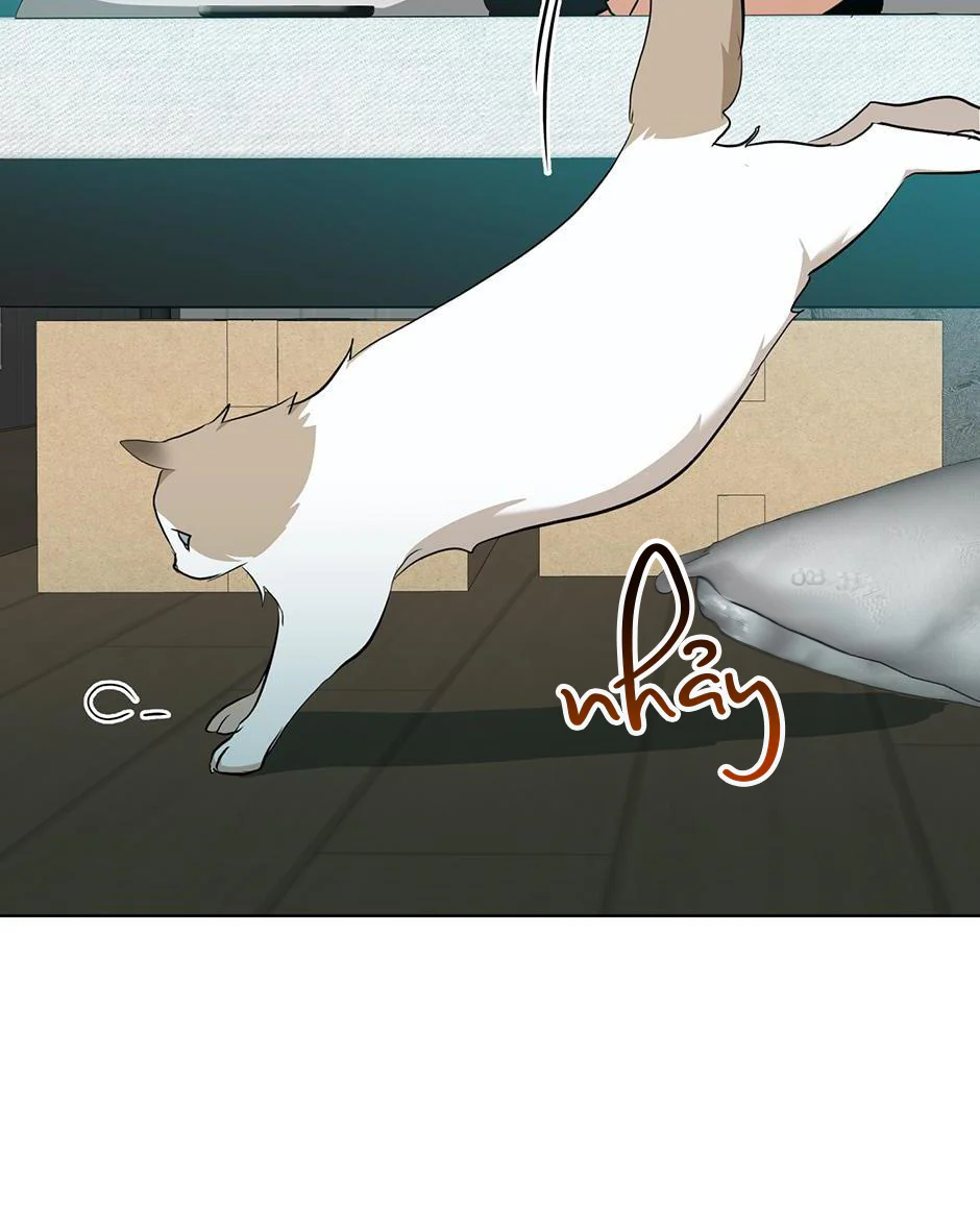 D:aze Chapter 27 Trang 3