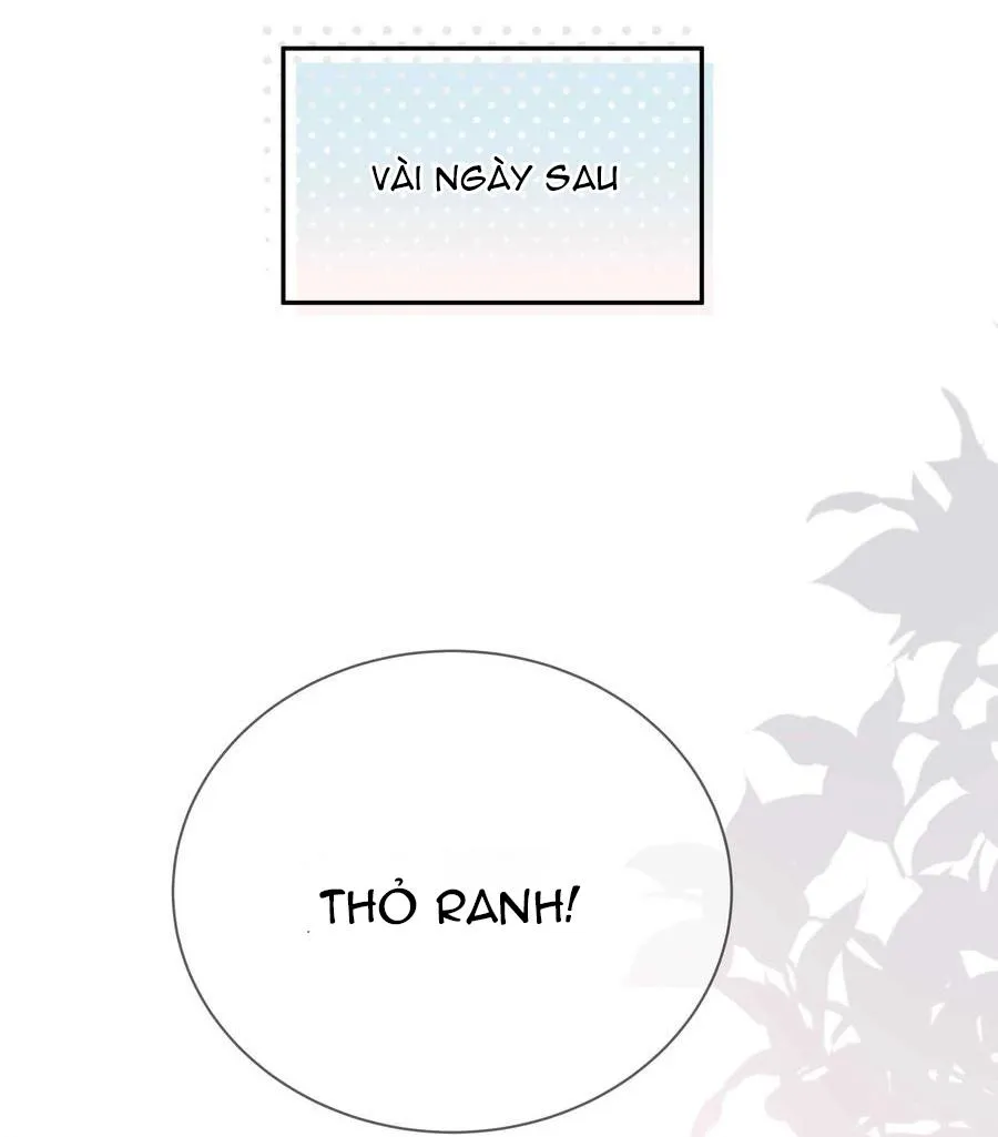 Quan tâm em đi Chapter 19 Trang 12