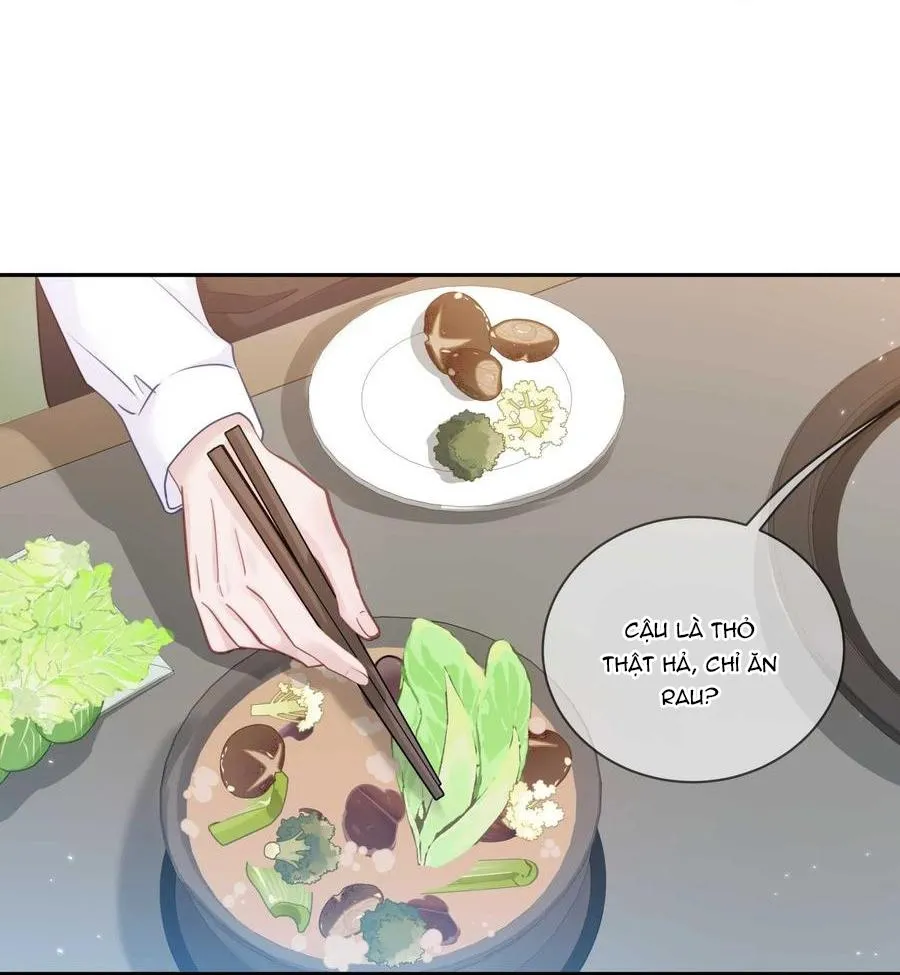 Quan tâm em đi Chapter 20 Trang 13