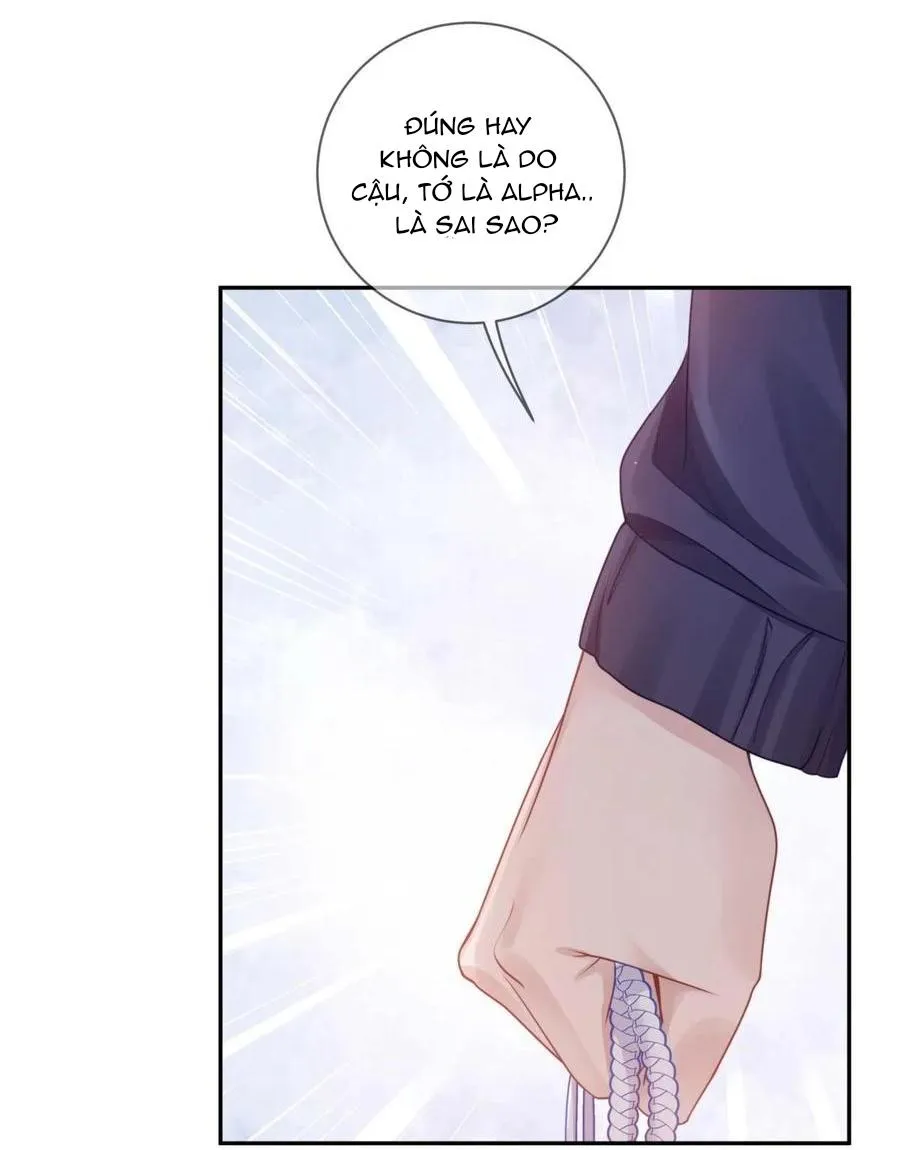 Quan tâm em đi Chapter 29 Trang 20