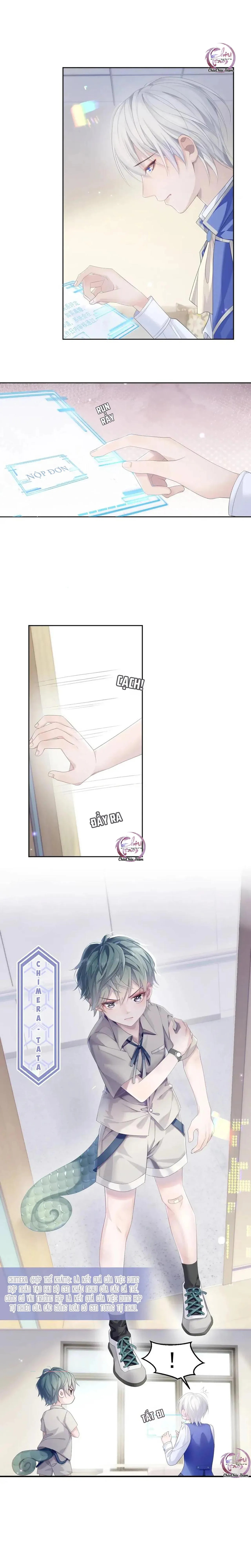 Đề Nghị Ly Hôn Chapter 33 Trang 3