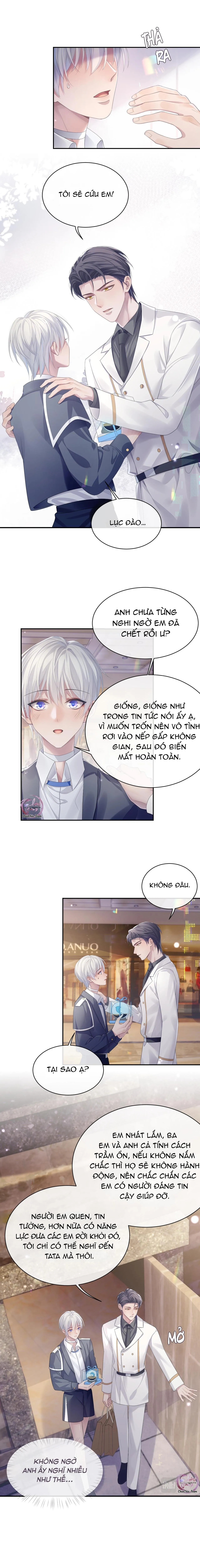 Đề Nghị Ly Hôn Chapter 53 Trang 4