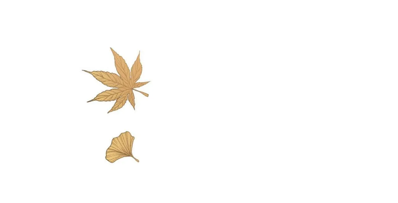 Dễ thương là lỗi của tôi sao? Chapter 11 Trang 71