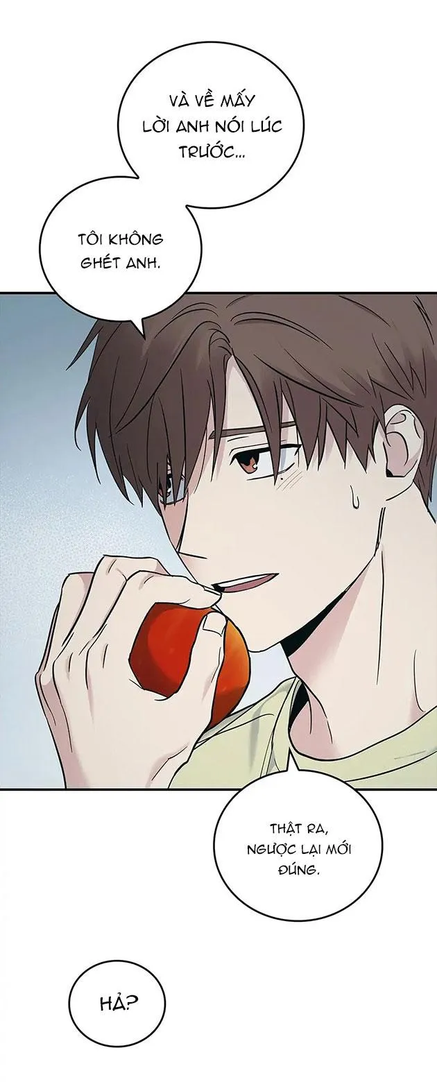 Deadman Switch Chapter 20 Trang 15