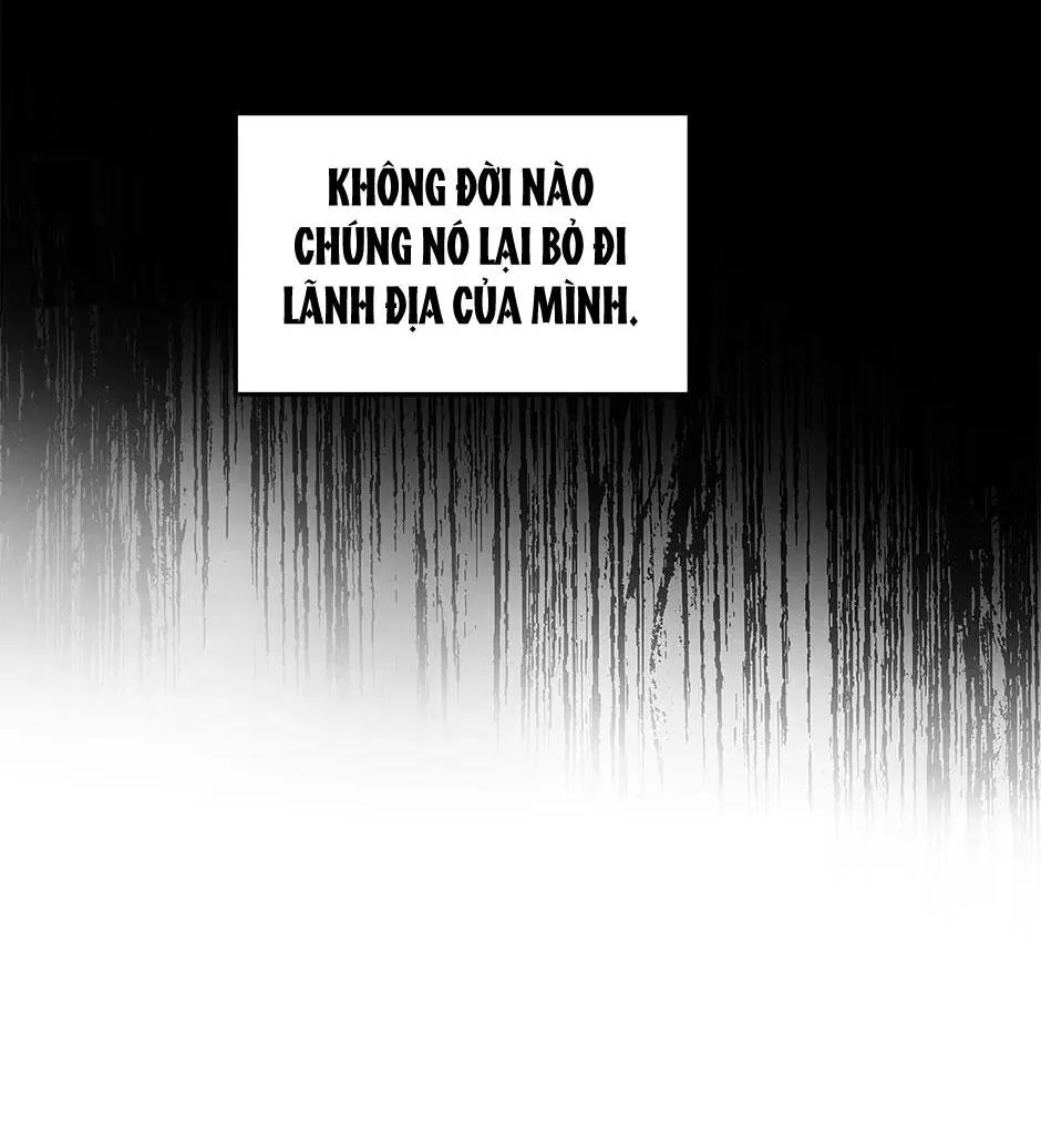 Deadman Switch Chapter 30 Trang 4