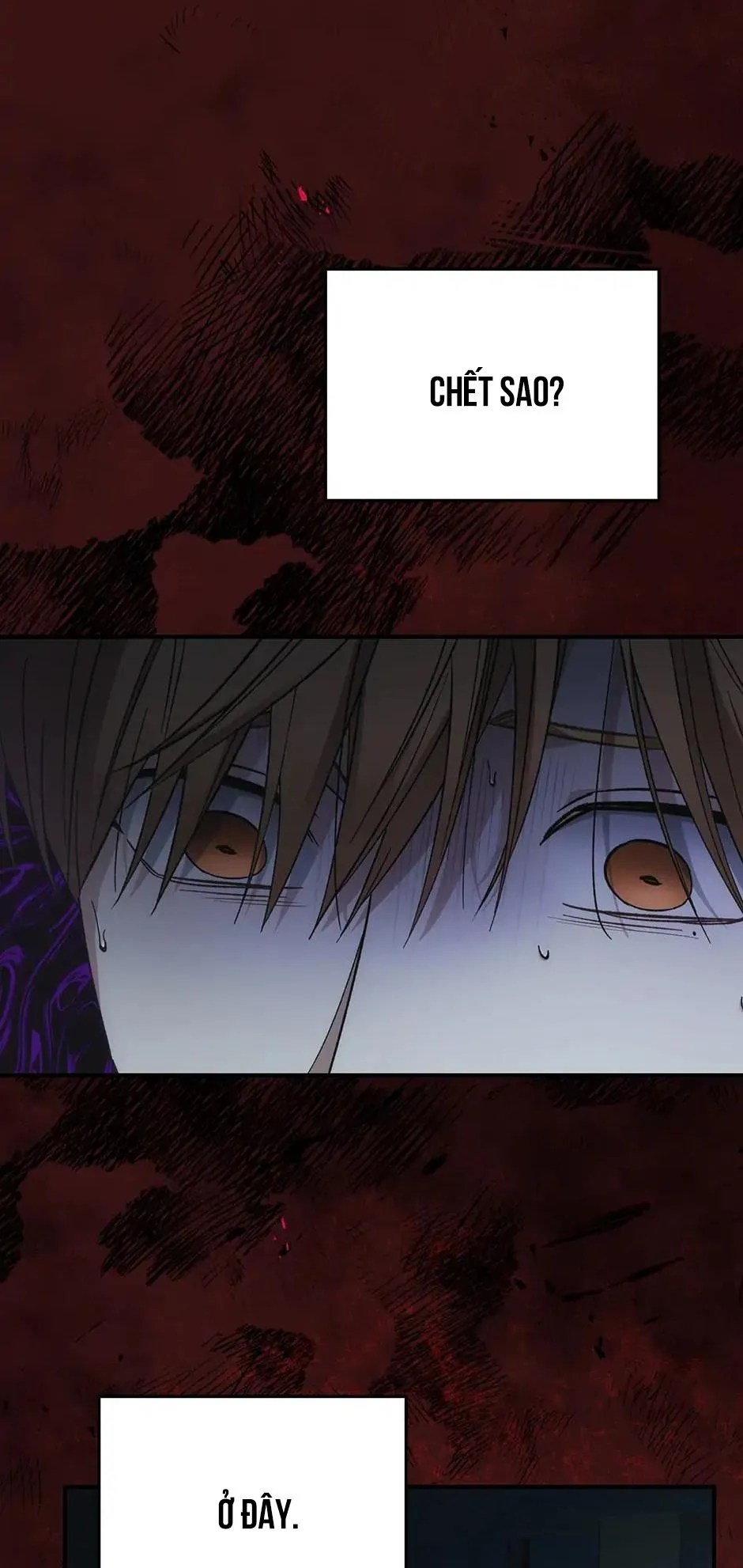 Deadman Switch Chapter 60 Trang 16