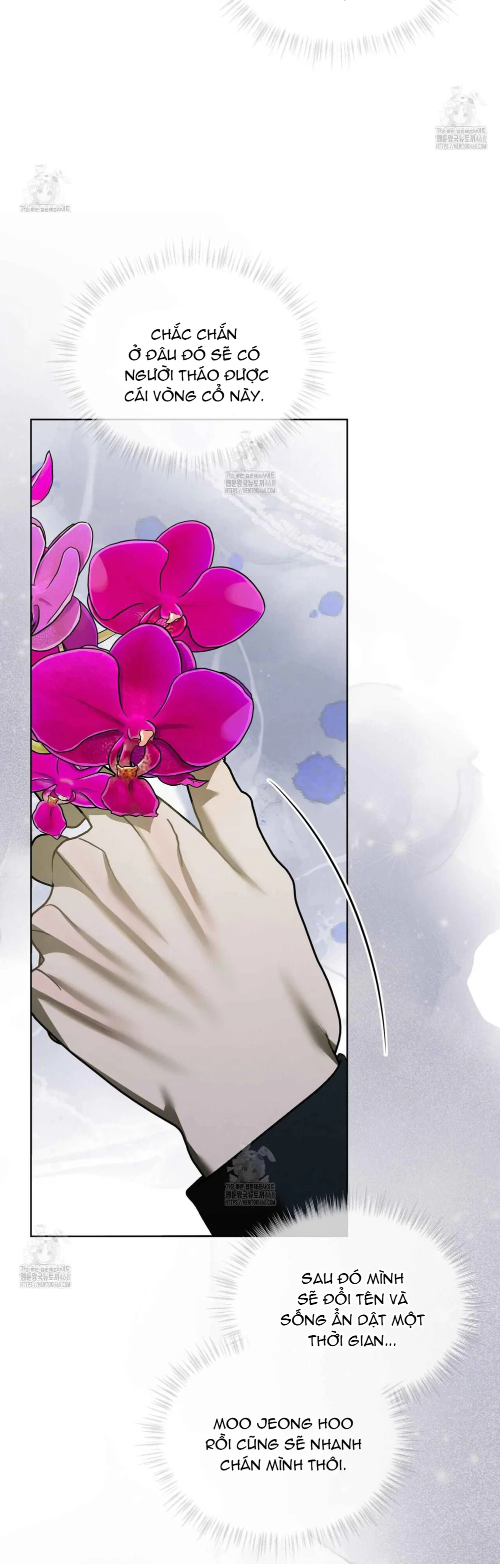 Dear My Horror Chapter 22 Trang 33