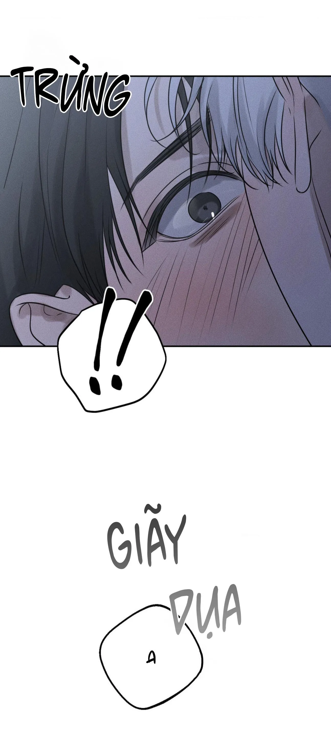 DEAR, TEDDY BEAR Chapter 17 Trang 17