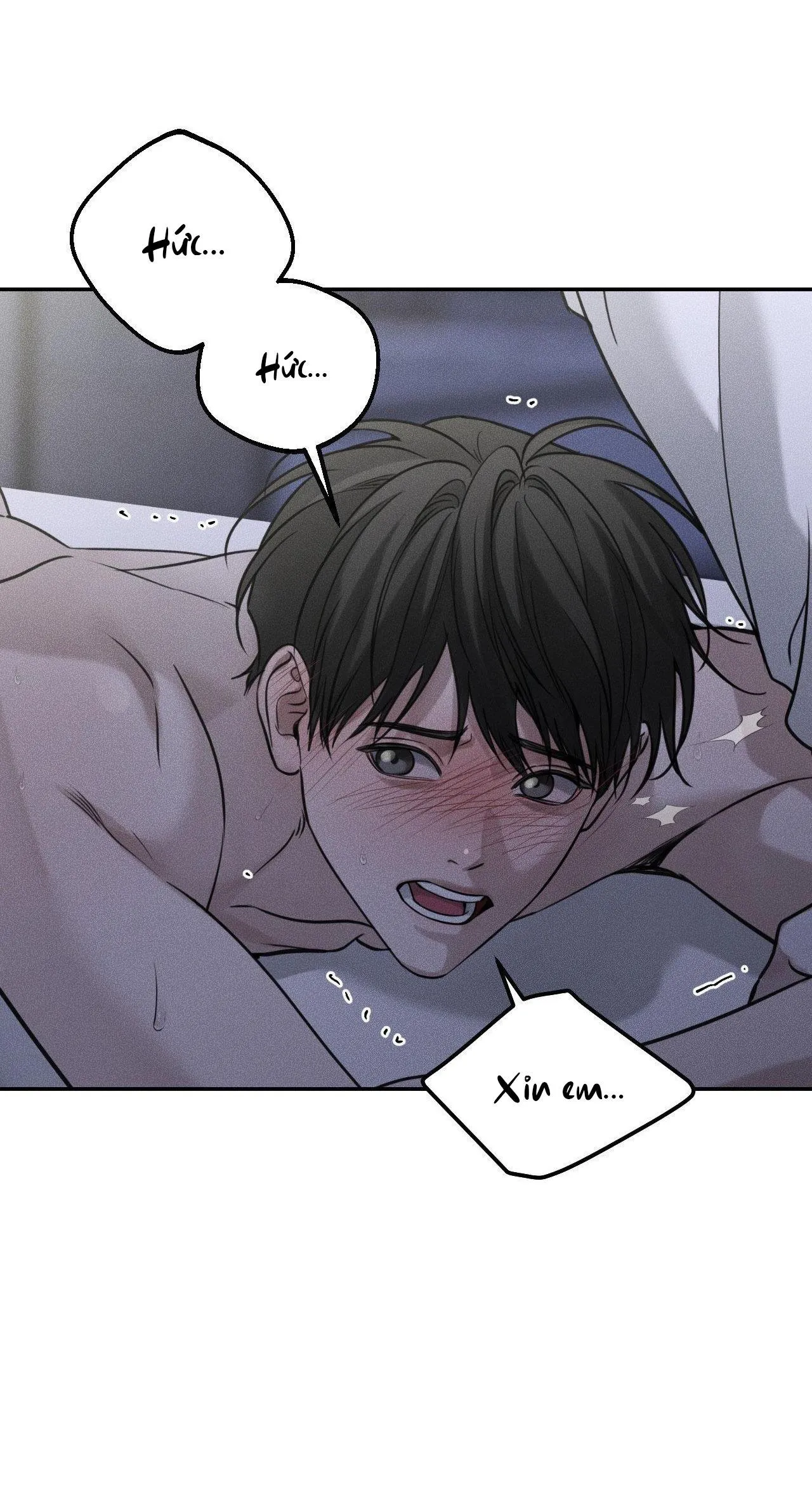 DEAR, TEDDY BEAR Chapter 25 Trang 12