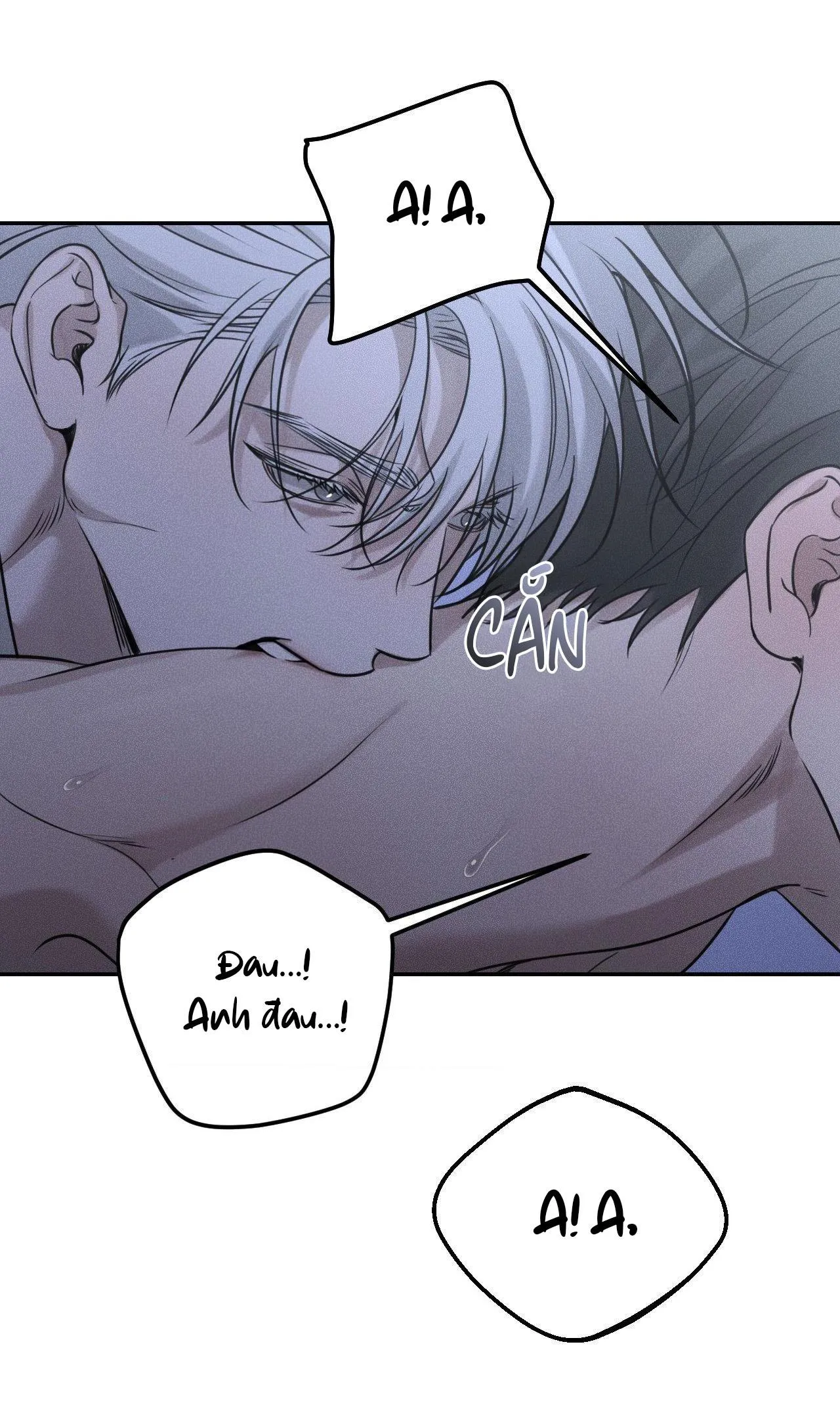 DEAR, TEDDY BEAR Chapter 25 Trang 16