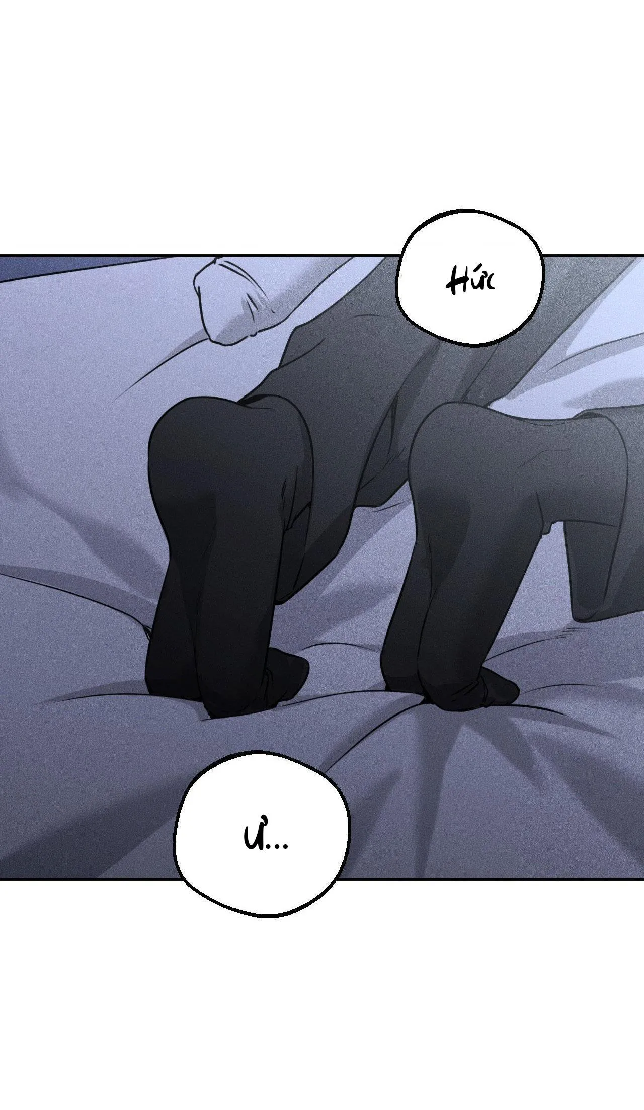 DEAR, TEDDY BEAR Chapter 26 Trang 11