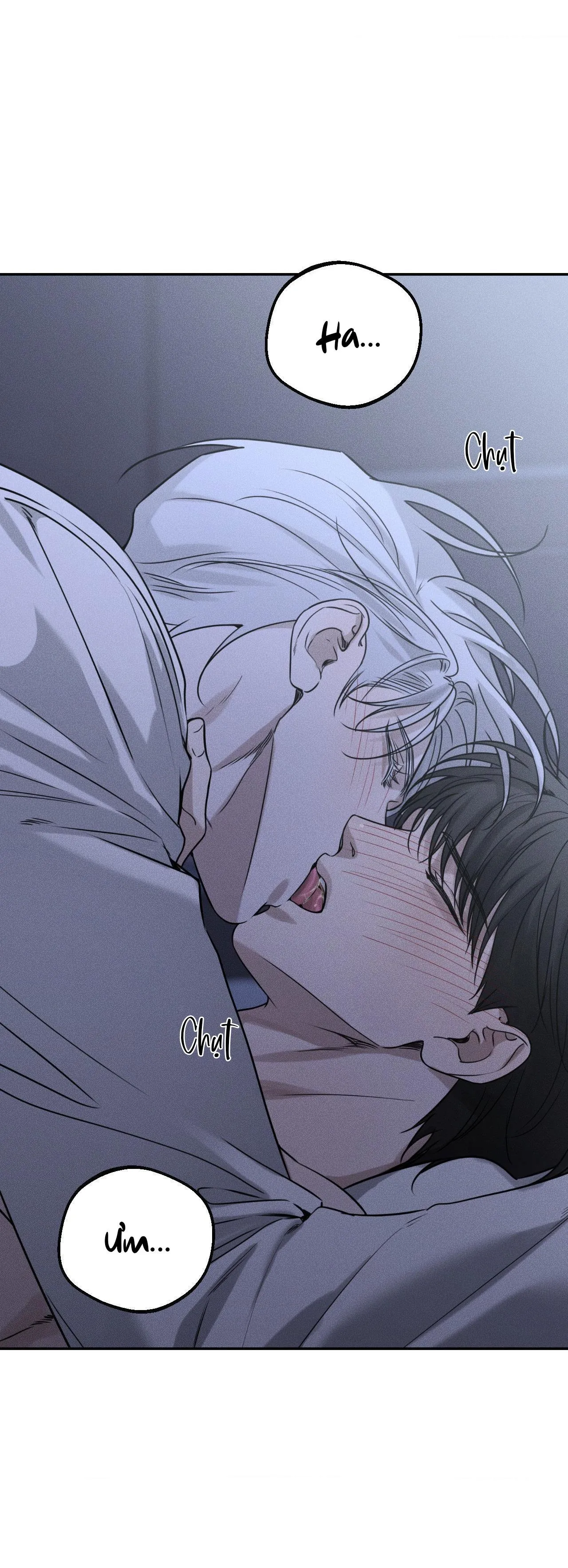 DEAR, TEDDY BEAR Chapter 26 Trang 12