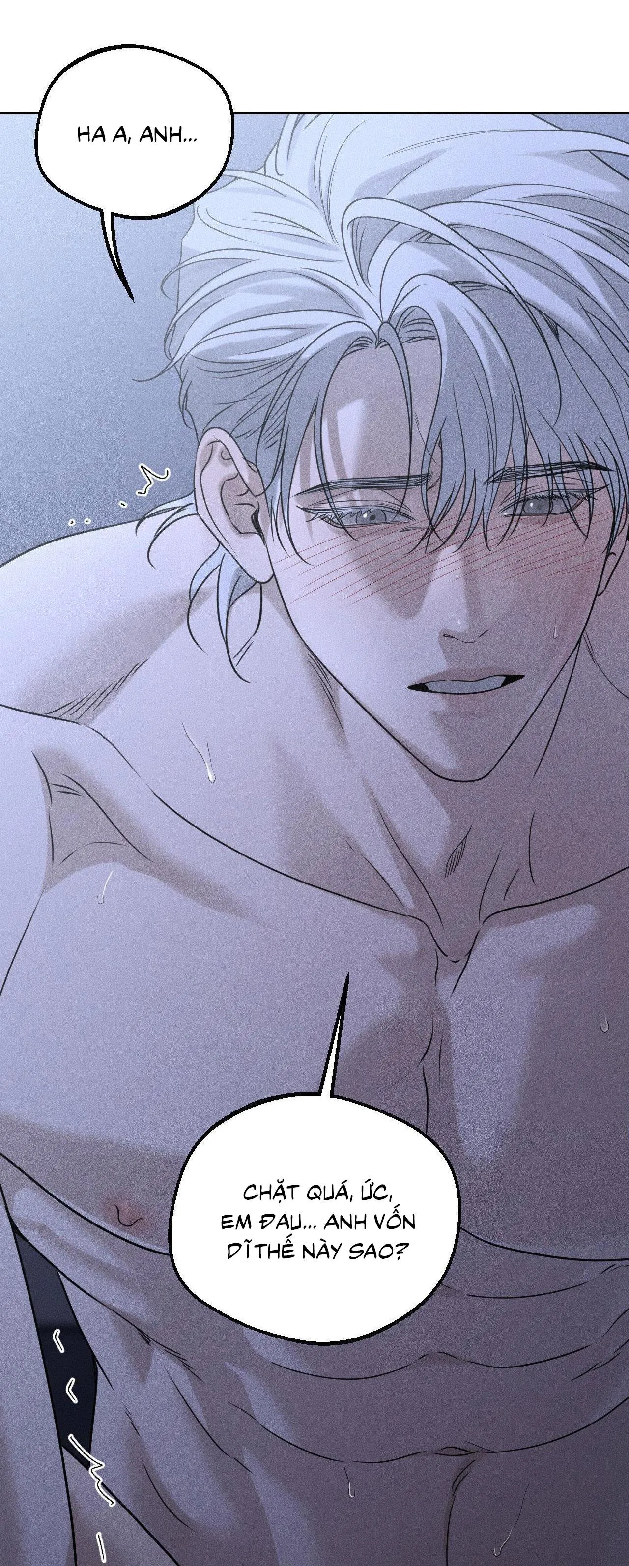 DEAR, TEDDY BEAR Chapter 26 Trang 25