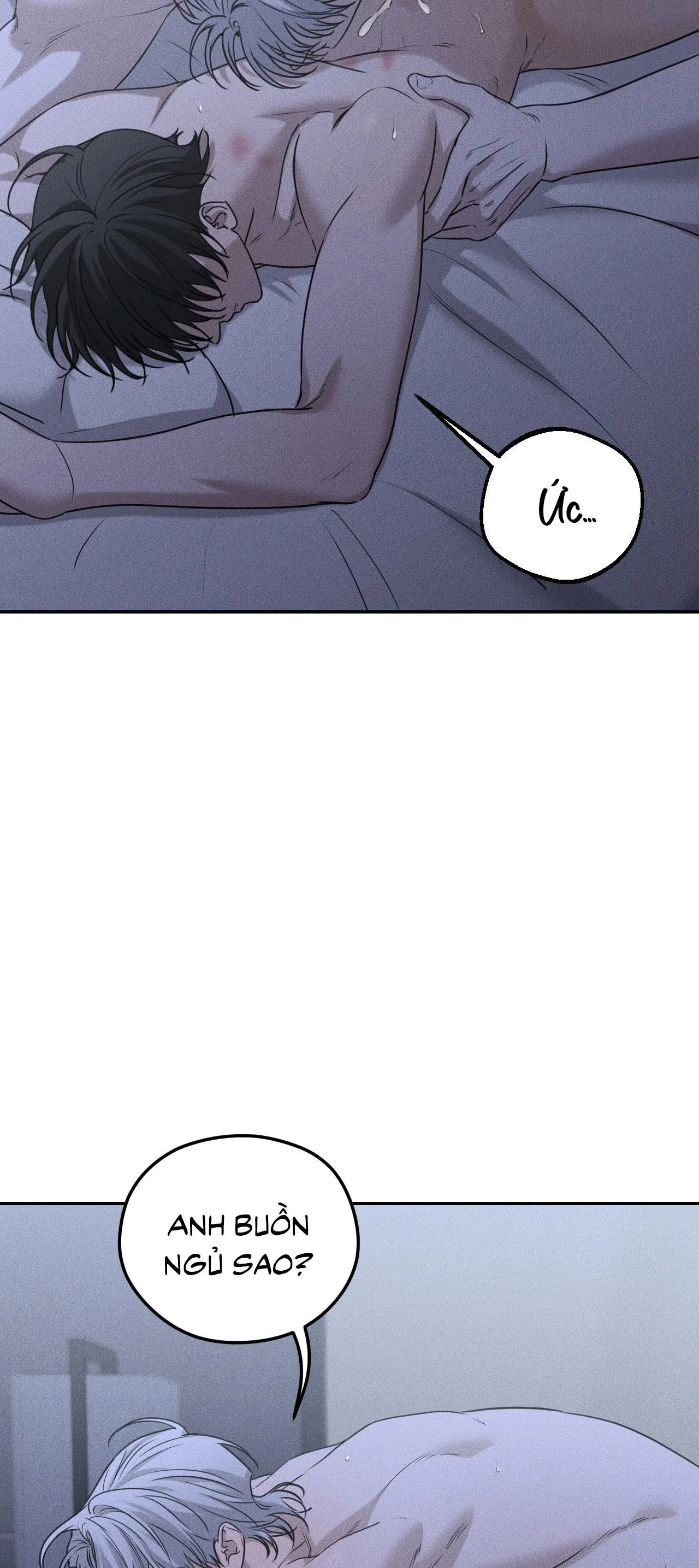 DEAR, TEDDY BEAR Chapter 27 Trang 3