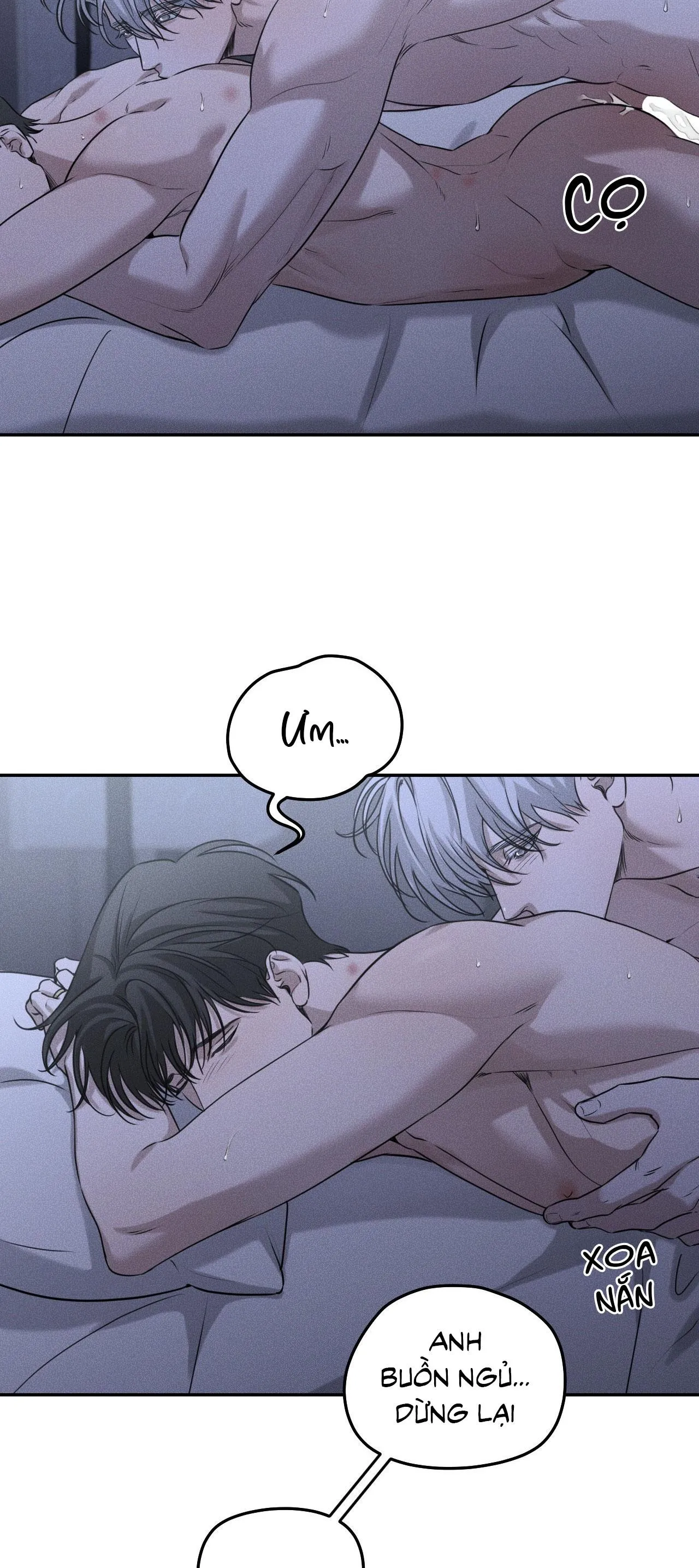 DEAR, TEDDY BEAR Chapter 27 Trang 4