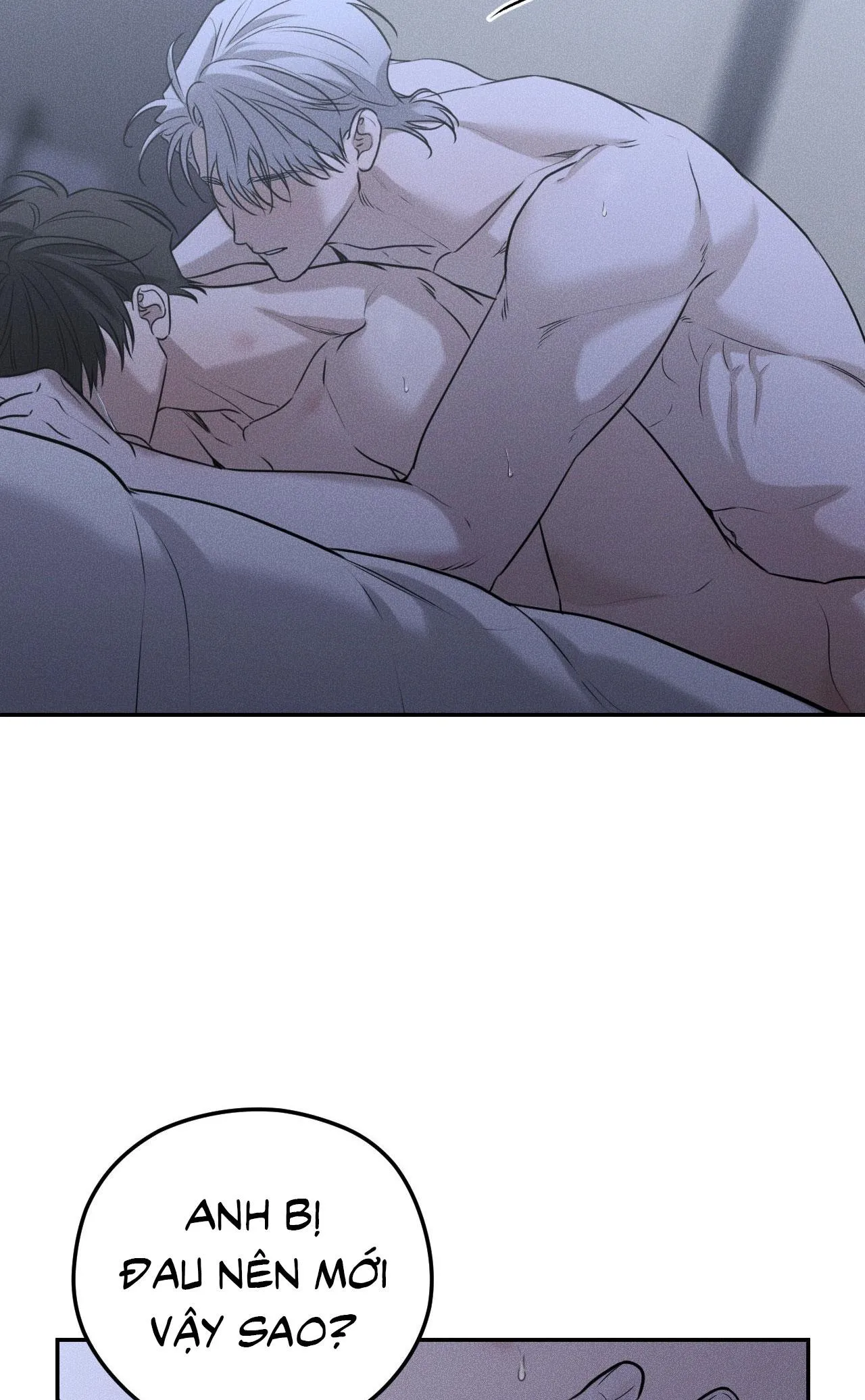 DEAR, TEDDY BEAR Chapter 27 Trang 24