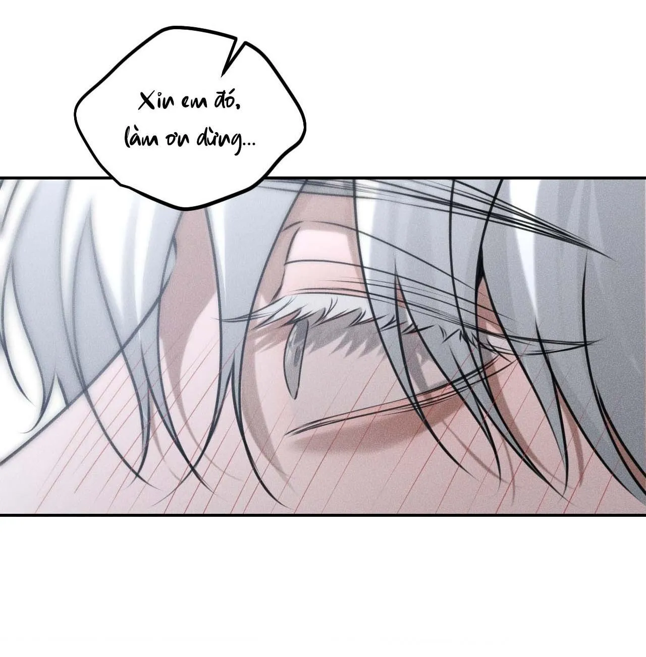 DEAR, TEDDY BEAR Chapter 29 Trang 13