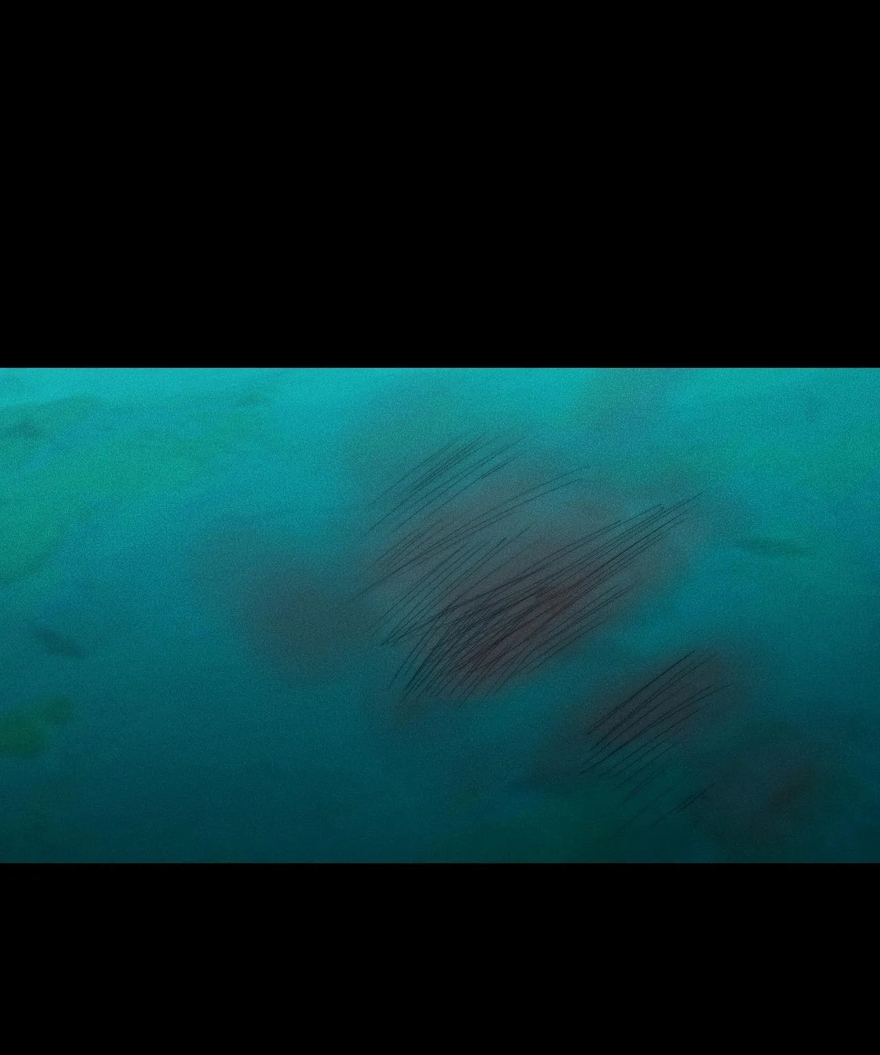 DEAR, TEDDY BEAR Chapter 30 Trang 58