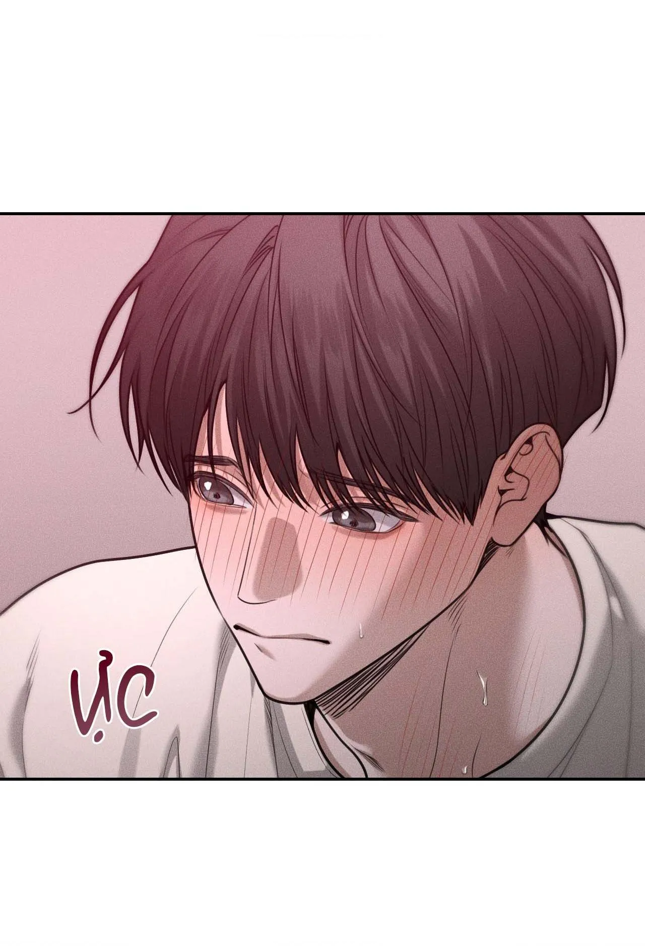 DEAR, TEDDY BEAR Chapter 36 Trang 8