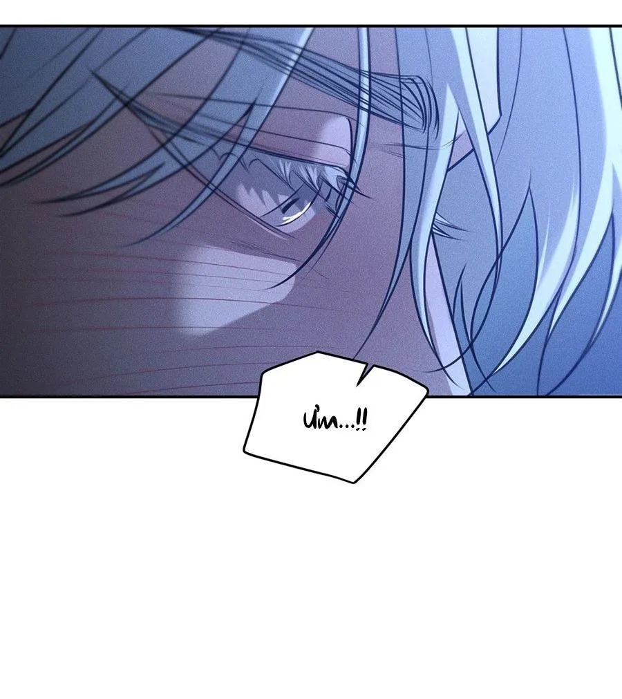 DEAR, TEDDY BEAR Chapter 39 Trang 41