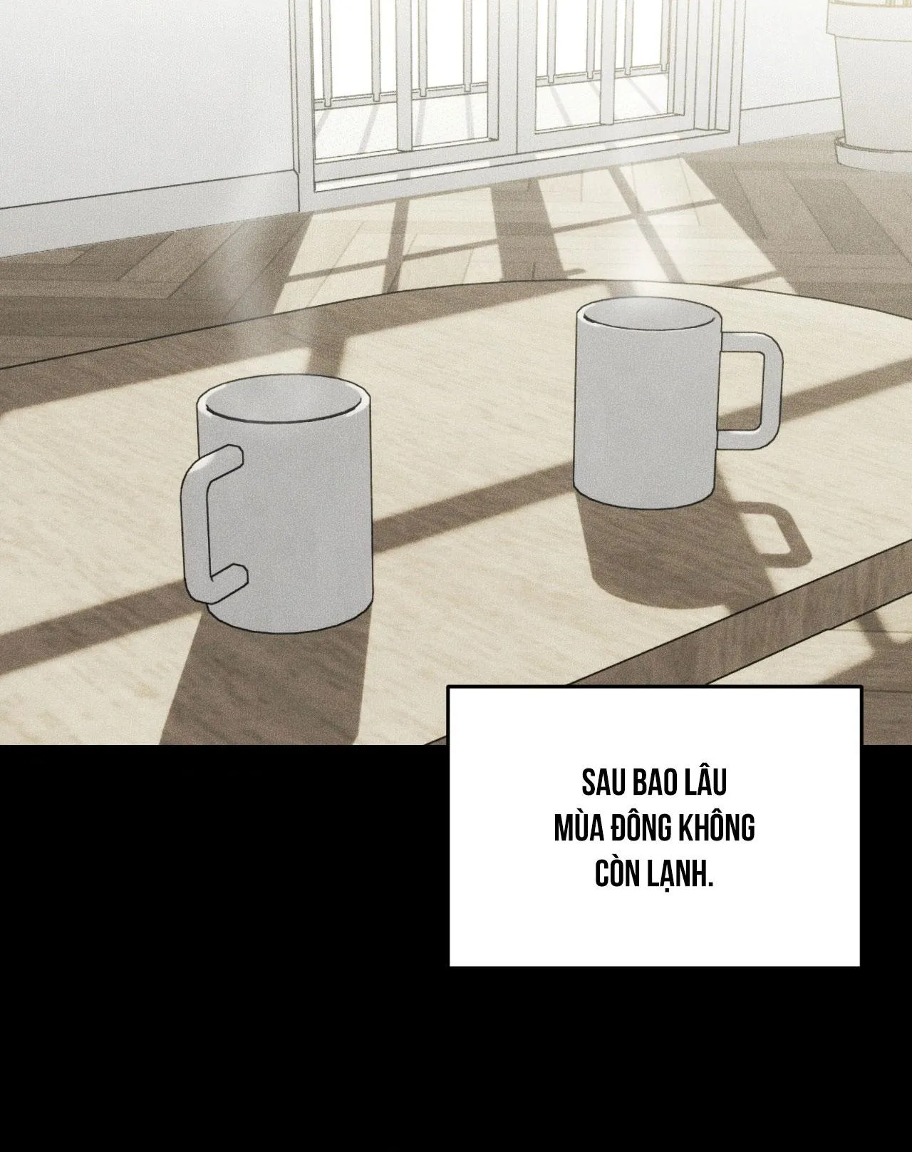 DEAR, TEDDY BEAR Chapter 40 Trang 51