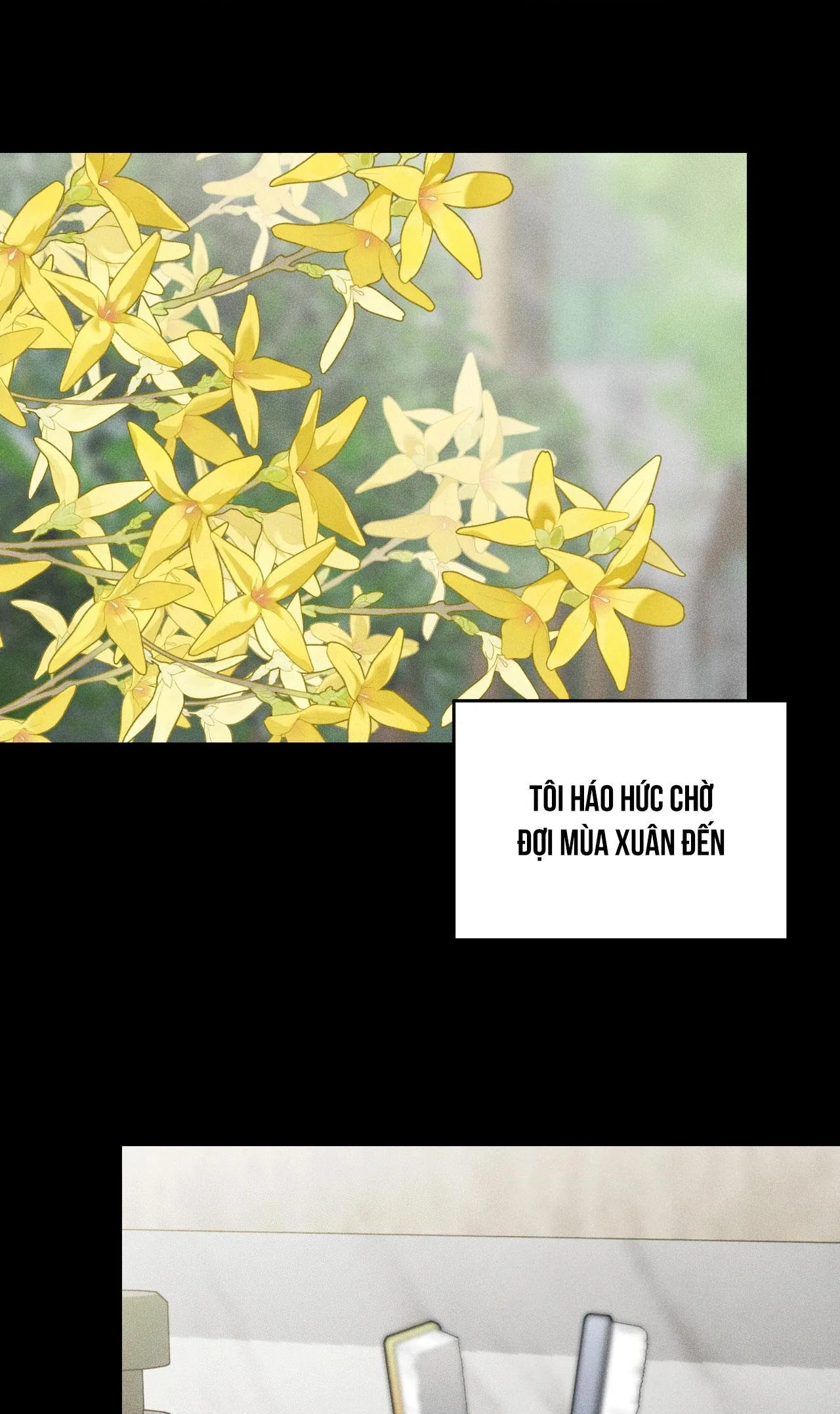 DEAR, TEDDY BEAR Chapter 40 Trang 52