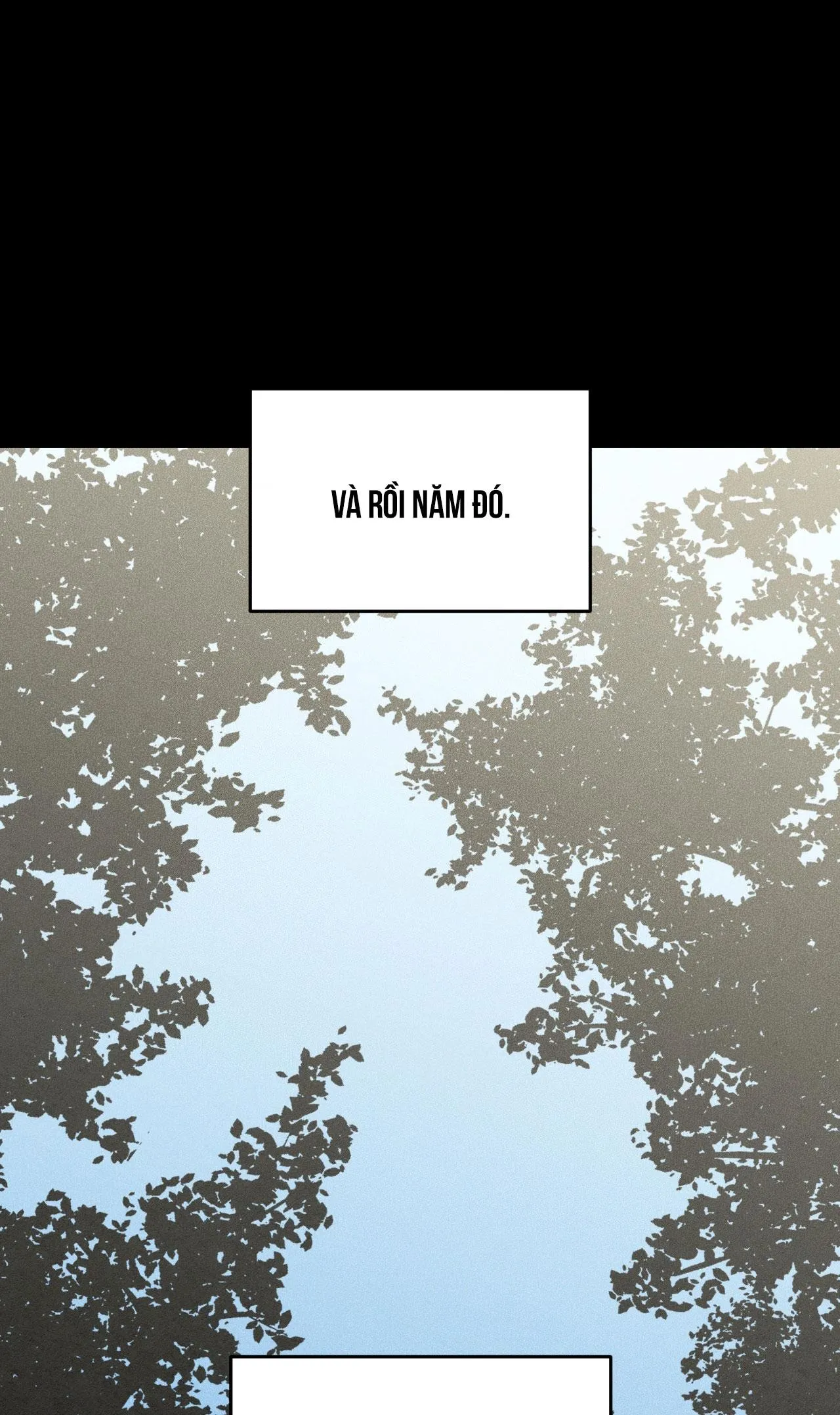 DEAR, TEDDY BEAR Chapter 40 Trang 55