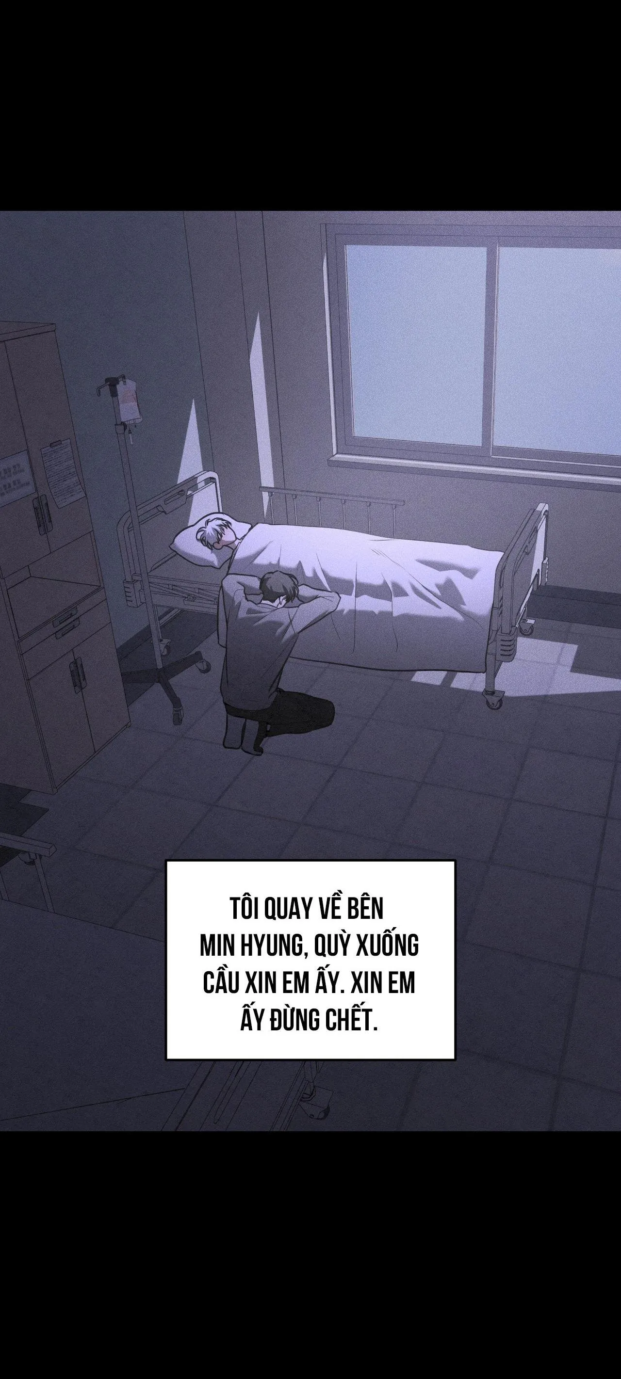 DEAR, TEDDY BEAR Chapter 41 Trang 37