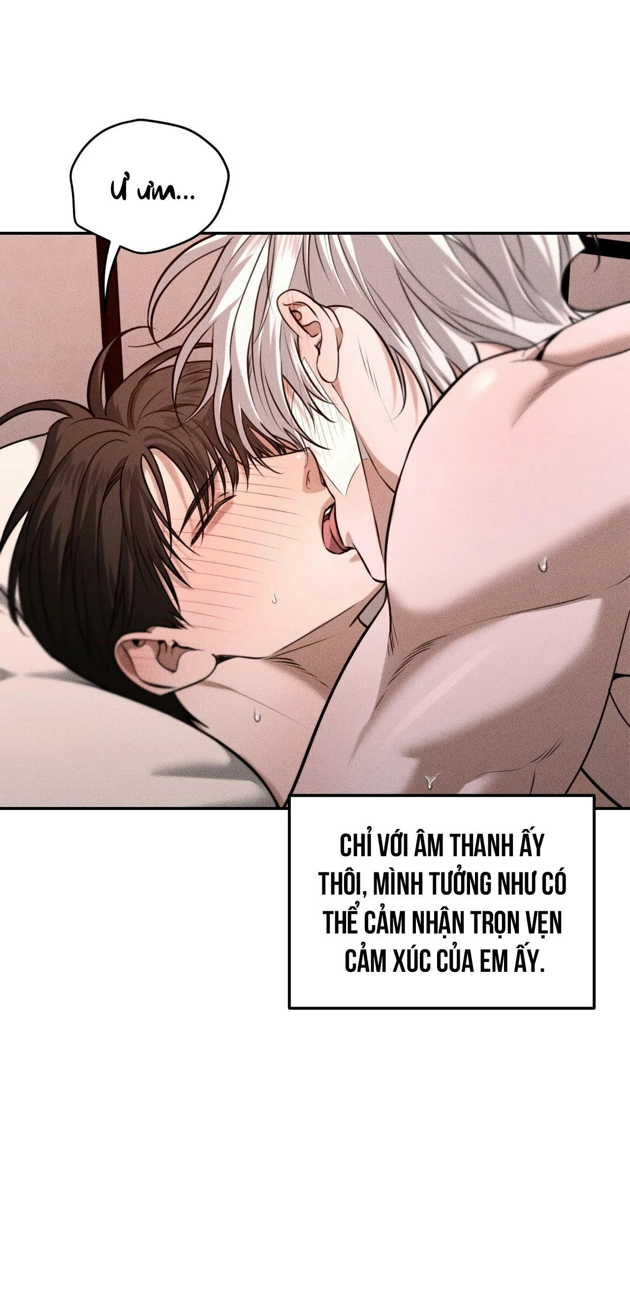 DEAR, TEDDY BEAR Chapter 43 Trang 56